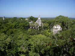 249-277 Tikal.JPG